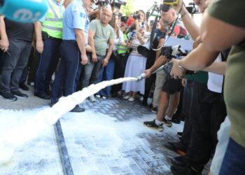 Industria e Qumështit në Kosovë kërkon publikimin e analizave për vajin e palmës