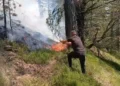 10 vatra zjarri në vend, 7 aktive/ Dajti dhe Gojani ndër zonat problematike