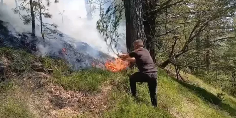 10 vatra zjarri në vend, 7 aktive/ Dajti dhe Gojani ndër zonat problematike