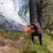 10 vatra zjarri në vend, 7 aktive/ Dajti dhe Gojani ndër zonat problematike
