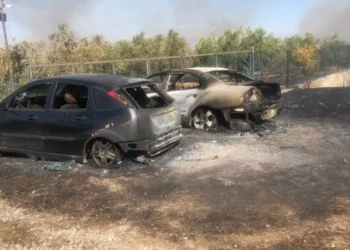 Zjarri në Levan, shkrumbohen nga flakët dy makina