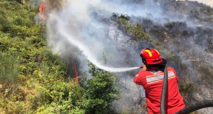 Zjarret/ ISHP: Tymi ka ndikim në shëndetin publik të grupeve në risk