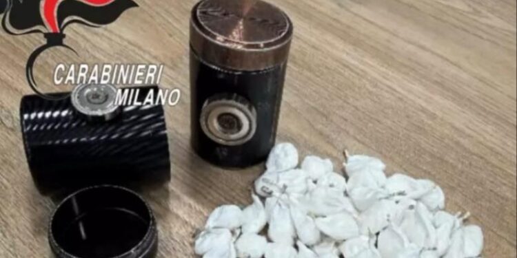 I riu shqiptar kapet me kokainë në Itali, tenton të identifikohet me dokumentet e vëllait binjak