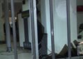 Protestuesit sulmuan dyert dhe dritaret e Gjykatës së Apelit, 5 në pranga