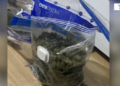 Kapet me mbi 1 kg kanabis dhe kokainë pranë një shkolle, arrestohet 35-vjeçari në Kombinat