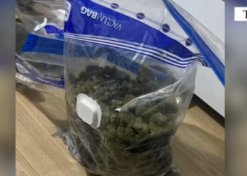 Kapet me mbi 1 kg kanabis dhe kokainë pranë një shkolle, arrestohet 35-vjeçari në Kombinat