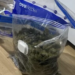Kapet me mbi 1 kg kanabis dhe kokainë pranë një shkolle, arrestohet 35-vjeçari në Kombinat