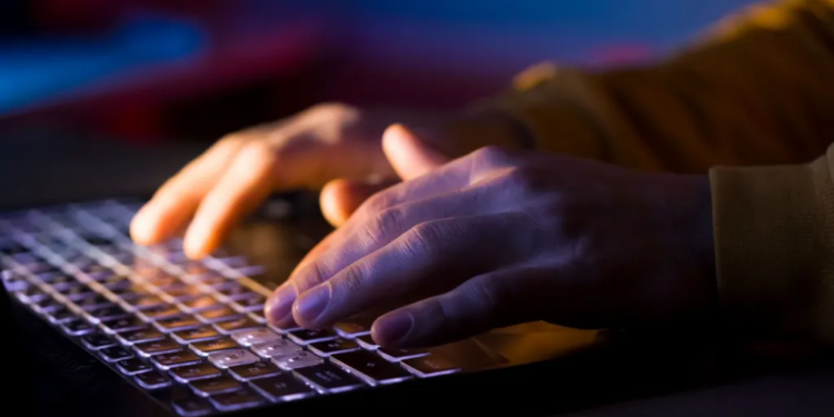 Alarm për sigurinë kibernetike, mbyllen përkohësisht disa faqe online