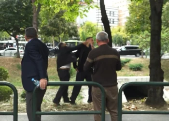 Protestuesi godet me shpullë djalin e ish-deputetit të Partisë Socialiste
