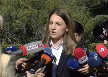 Koçeku: Kuvendi s’mund të pretendojë se nuk ka krizë